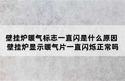 壁挂炉暖气标志一直闪是什么原因 壁挂炉显示暖气片一直闪烁正常吗